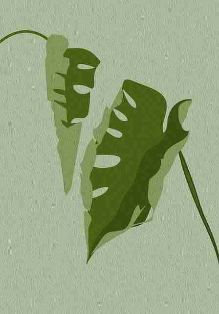 45个理由告诉你每日大赛51 含实测数据